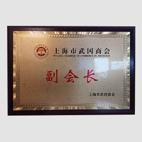 Vice President of Shanghai wugang chamber of commerce  修改翻译结果